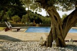 Luxury villas in Greece - Xenon Estate extra large swimming pool 17m x 9m